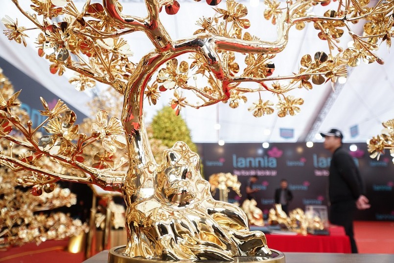 Ngắm cây mai mạ vàng lớn nhất Việt Nam giá 6 tỷ đồng
