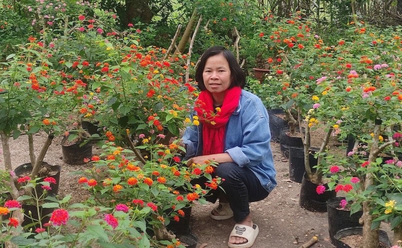 Sau 5 tháng khởi nghiệp, giờ đây khu vườn nhà chị Loan đã có trên 500 cây ngũ sắc ra hoa rực rỡ. 