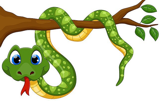 con rắn là con vật biểu tượng của tuổi Tỵ