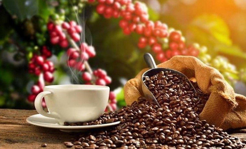 Liệu dư cung có đẩy giá cà phê xuống thấp trong thời gian tới?