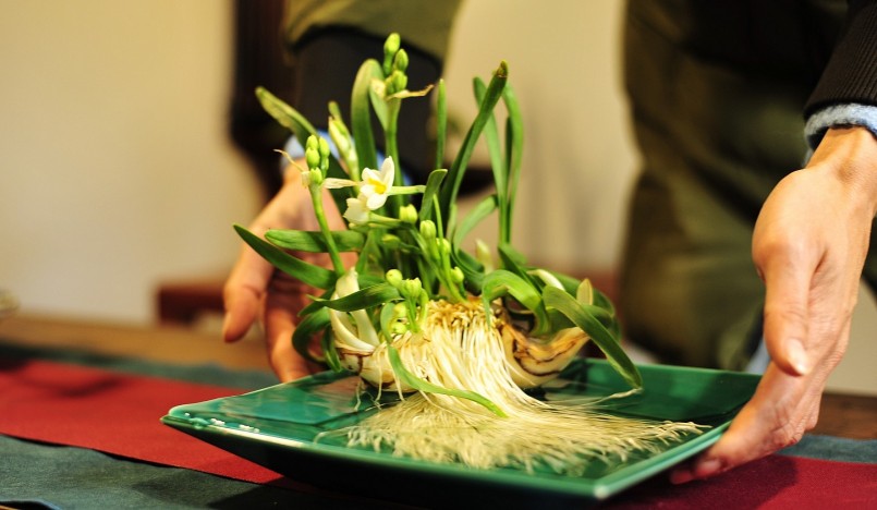 Chỉ với giá vài trăm nghìn một bình, thủy tiên vẫn là loài hoa được nhiều người Hà Nội ưa thích.