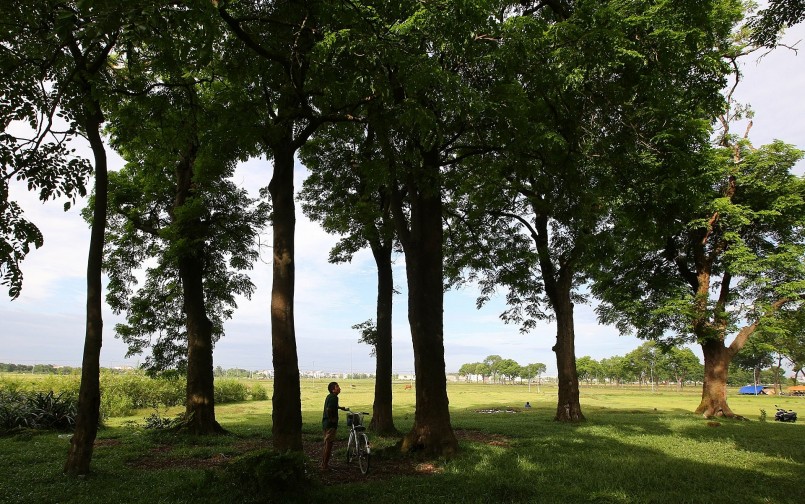 Cánh rừng lim xanh cổ thụ ước tính hơn nghìn năm tuổi tọa lạc trên vùng đồi rộng 5,7 hecta, có 242 cây lim xanh tạo nên cảnh quan thiên nhiên hùng vĩ vô cùng độc đáo.