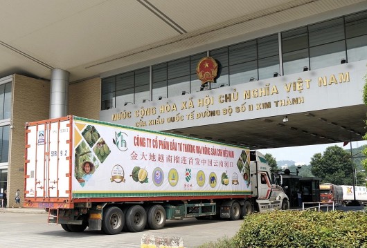 Xuất khẩu nông sản Việt tăng cơ hội "bùng nổ" khi Trung Quốc mở cửa biên giới