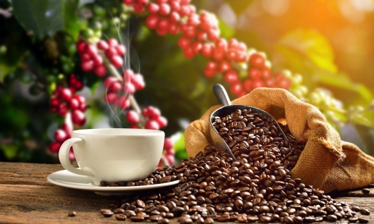 Giá nông sản hôm nay (11/1): Cà phê bật tăng mạnh, giá tiêu ổn định chạm ngưỡng cao nhất 60.000 đồng/kg