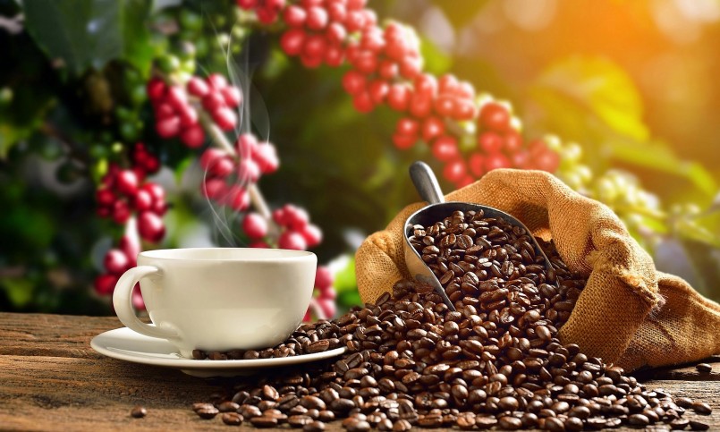 Giá nông sản hôm nay (11/1) giá cà phê bật tăng mạnh mẽ, giá tiêu ổn định.