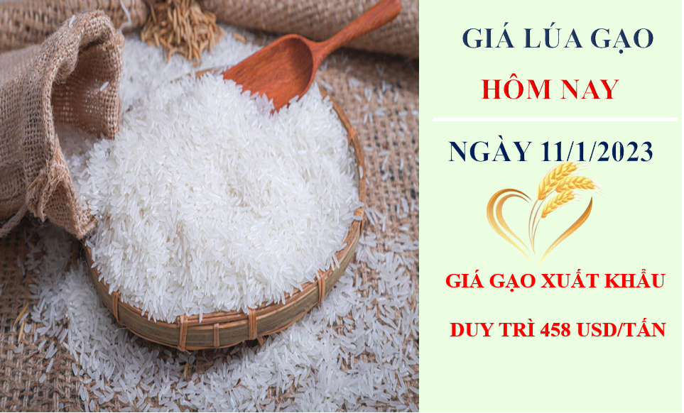 Giá lúa gạo hôm nay 11/1/2023: Giá gạo xuất khẩu duy trì 458 USD/tấn