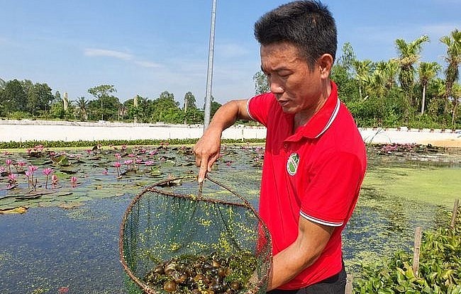 Hành trình đến với nghề nuôi ốc nhồi của anh Bùi Văn Hải có những ngã rẽ bất ngờ.