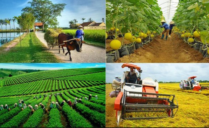 Thủ tướng đề nghị ngành nông nghiệp nâng mục tiêu xuất khẩu lên 55 tỷ USD