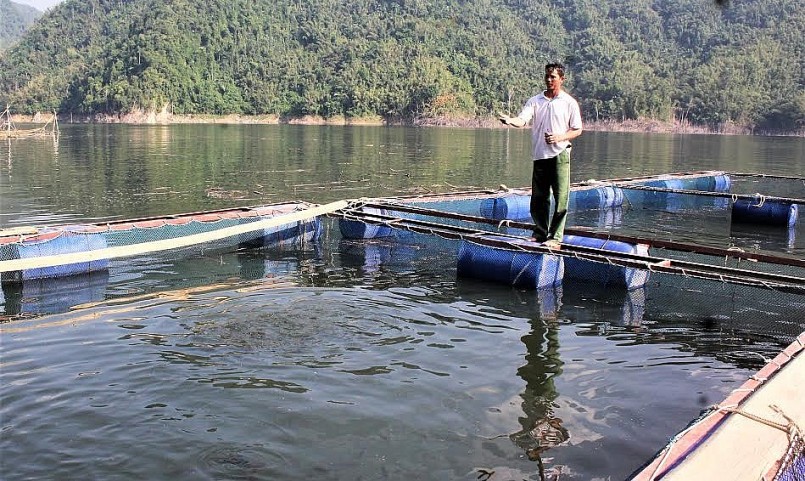 Người dân xã Mường Mô nâng cao thu nhập từ nuôi cá lồng trên lòng hồ Thủy điện Lai Châu.