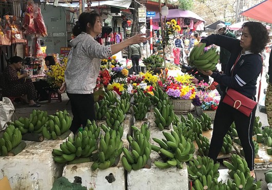 Thì ra đây mới là lý do ngày Tết nải chuối quả lẻ có giá cao ngất ngưởng