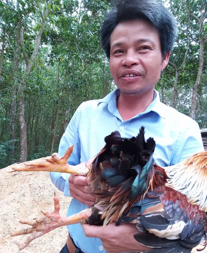 Anh Đào Đình Nghĩa giới thiệu giống gà sáu ngón gia đình đang nuôi.