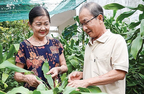 Vợ chồng ông Lâm chăm sóc cây phát tài để kịp cung cấp cho khách hàng chơi tết.