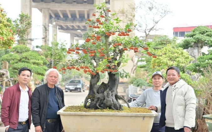 Ông Minh (đầu tiên bên phải) đứng bên chậu thạch cẩm vàng 300 năm tuổi. Ảnh: Linh Đan