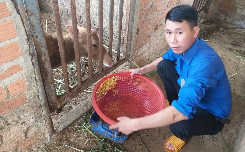 Mô hình nuôi hươu sao lấy nhung mang lại hiệu quả kinh tế của anh Trịnh Ngọc Đức Tài tại xã Phú Văn, huyện Bù Gia Mập, tỉnh Bình Phước.