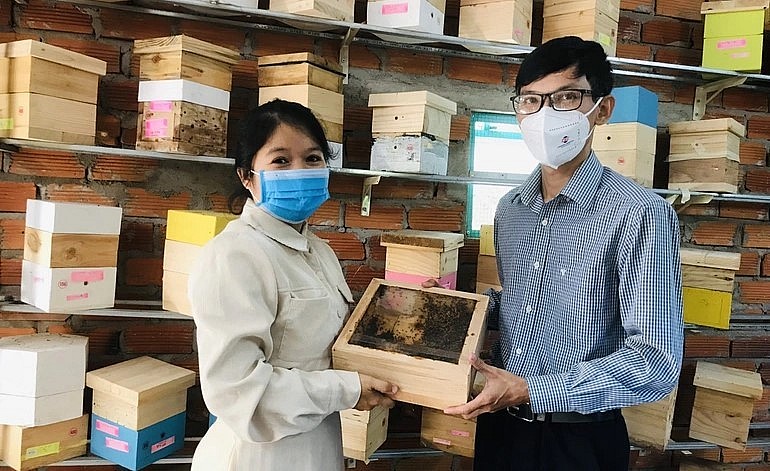 anh Nguyễn Hữu Trực đã mở ra một hướng phát triển mới trong nghề nuôi ong và thu về hàng tỷ đồng từ một tổ ong lạ.