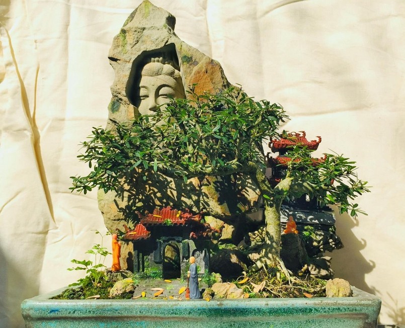 Nghề tạo dáng bonsai đổ mồ hôi trên cánh đồng nghệ thuật, biến thứ vô dụng thành tiền