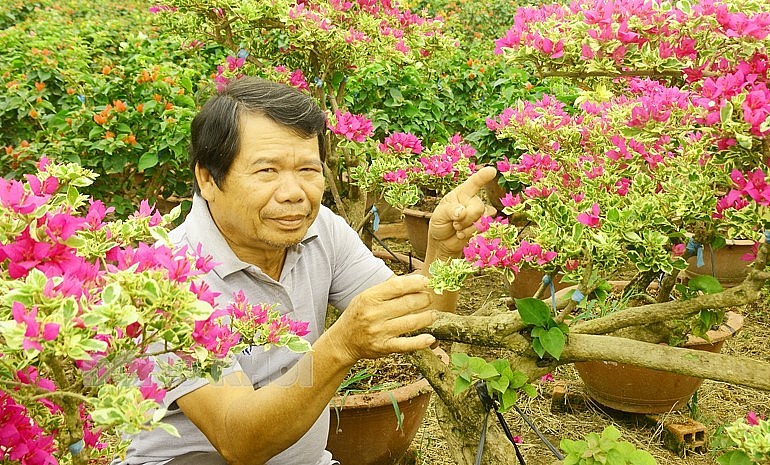 Ông Huỳnh Thanh Tâm chăm sóc hoa giấy.
