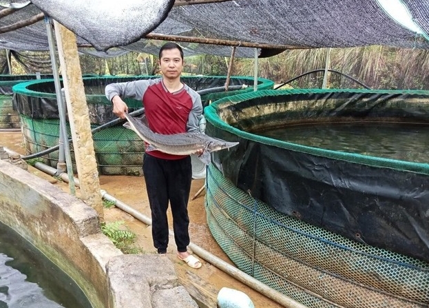 Anh Phạm Ngọc Thanh bên bể nuôi cá tầm