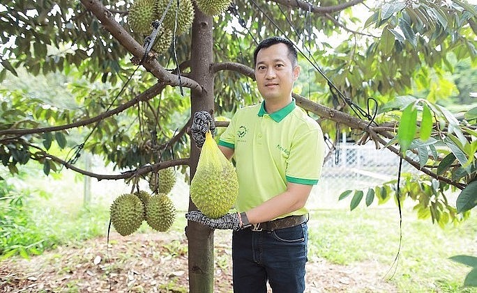 Nông dân Nguyễn Minh Hiếu (Gia Bảo Ecofarm) cho biết trồng sầu riêng có thể lợi nhuận hơn 1 tỉ đồng/ha/năm.