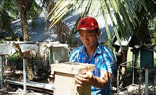 Anh Trần Văn Toản đang kiểm tra tổ ong dú.
