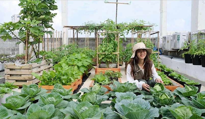 Cách đây gần 2 năm, vợ chồng chị Ánh Minh bắt đầu tập làm nông dân, trồng rau ngay trên sân thượng.Ảnh NVCC