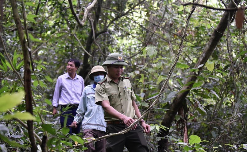 Định kỳ hàng tuần, cán bộ kiểm lâm địa bàn sẽ cùng tổ bảo vệ gồm đại diện 9 hộ có rừng và chính quyền địa phương đi kiểm tra từng khu khoảnh của cánh rừng. 