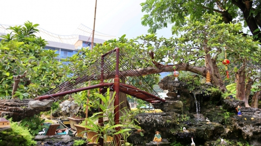 Siêu phẩm ổi bonsai đồ sộ dài 8 mét gây sửng sốt với giá chốt 1,2 tỷ đồng