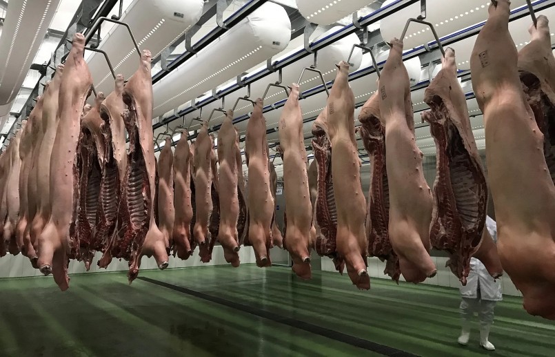 Nhu cầu tiêu thụ thịt heo tăng cao sẽ tác động tới giá heo hơi trong thời gian tới.