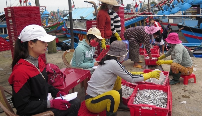 Những người phụ nữ hỗi hả phân loại cá cơm để kịp giao cho bạn hàng.