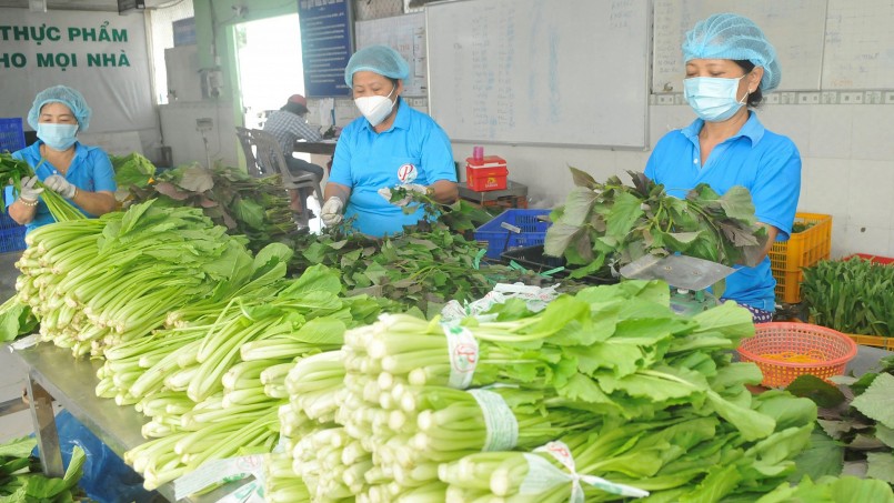 Kim ngạch xuất khẩu sang Lào năm 2022 tăng 10,3%