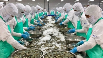 Thêm 23 doanh nghiệp thủy sản được Trung Quốc chấp thuận xuất khẩu
