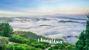 Top 10 địa điểm check-in đẹp nhất ở Đà Lạt không thể bỏ qua