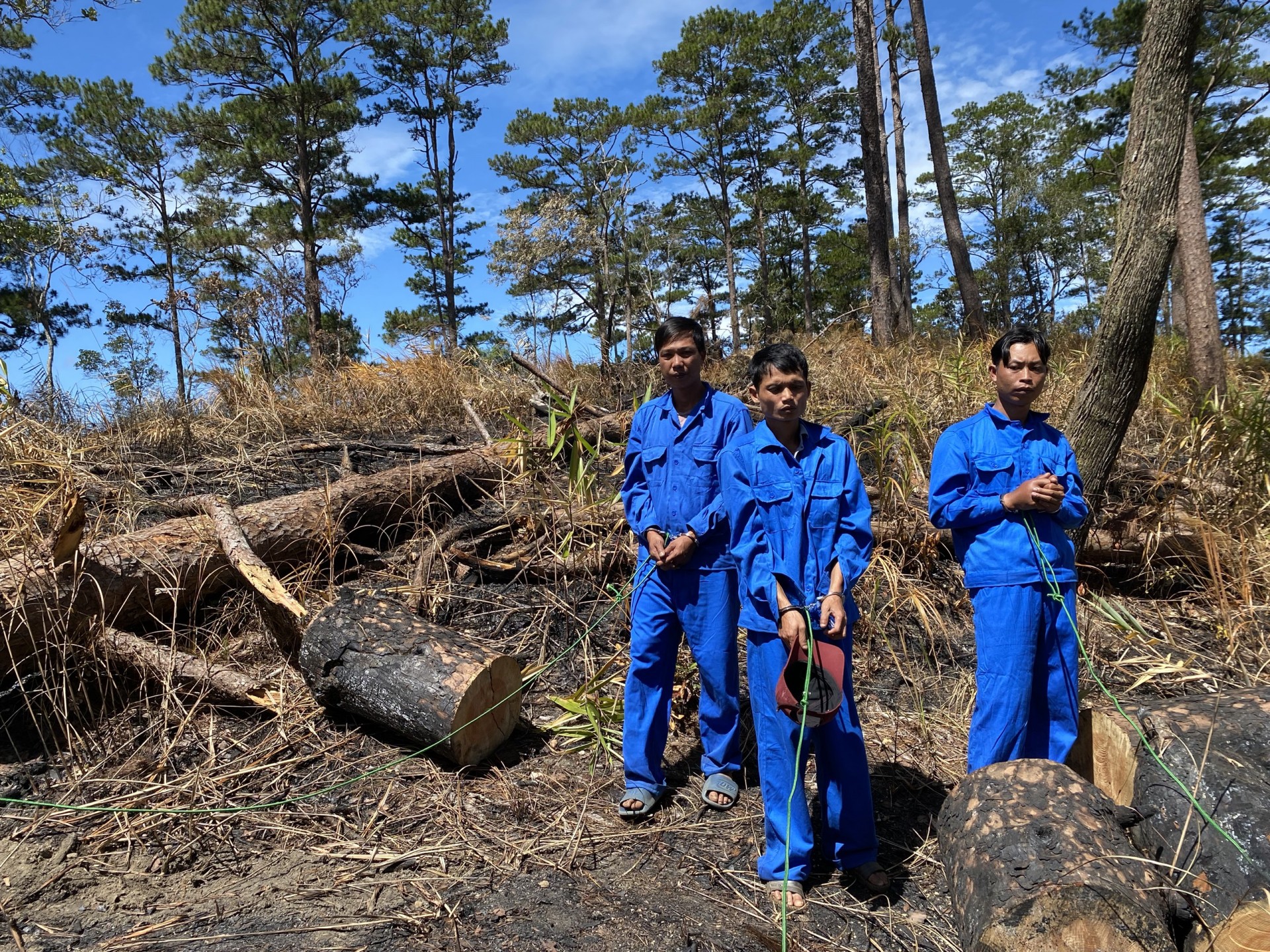 Lâm Đồng: Phát hiện 2 vụ phá rừng quy mô lớn cận Tết Quý Mão