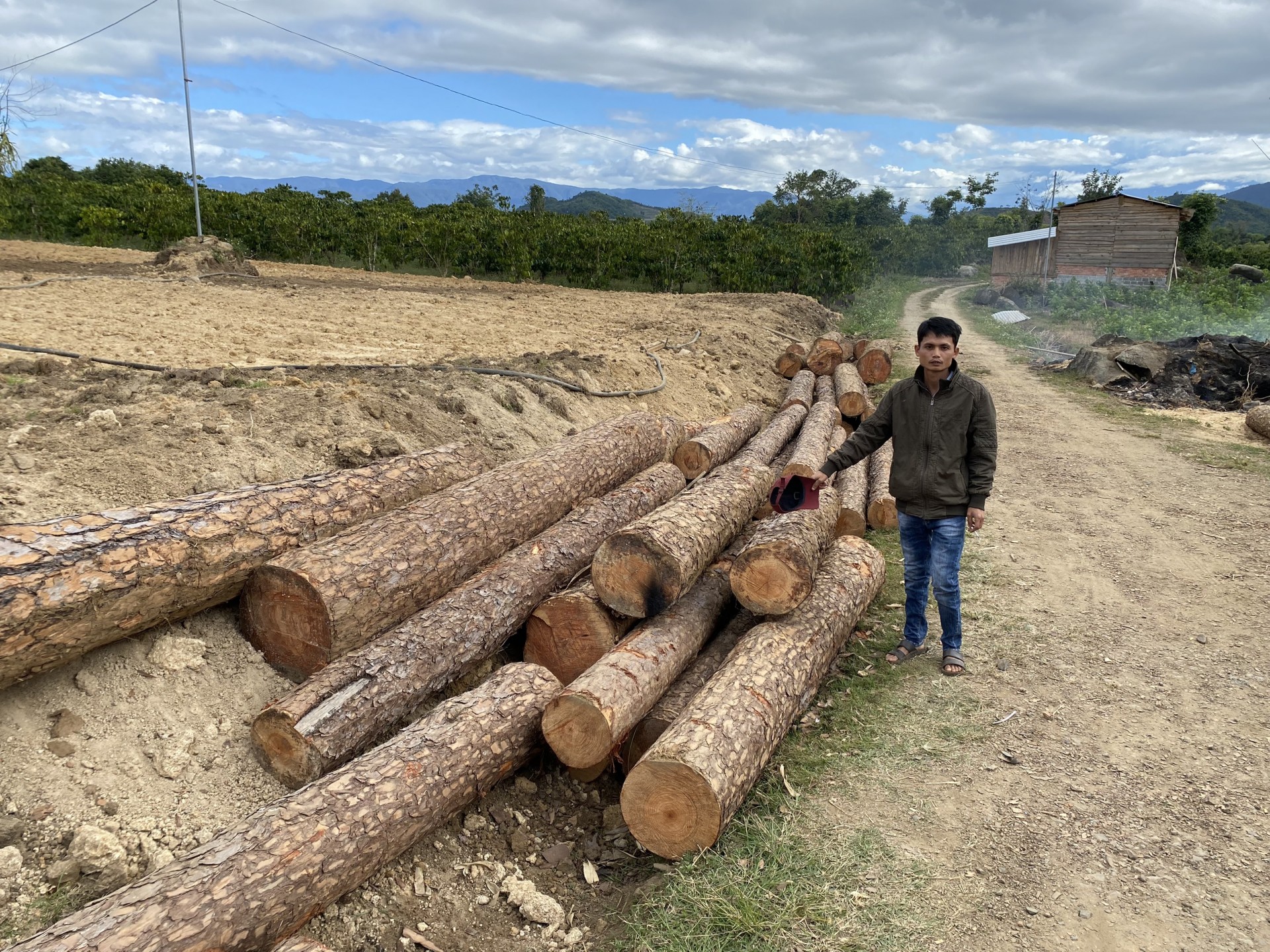 Lâm Đồng: Phát hiện 2 vụ phá rừng quy mô lớn cận Tết Quý Mão