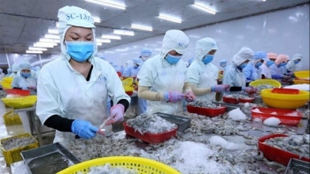 Việt Nam là thị trường cung cấp thủy sản lớn thứ ba cho Hàn Quốc