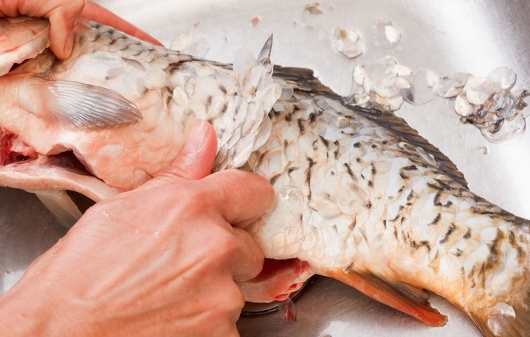 100% người ăn cá đều vứt đi thứ này khi chưa biết công dụng