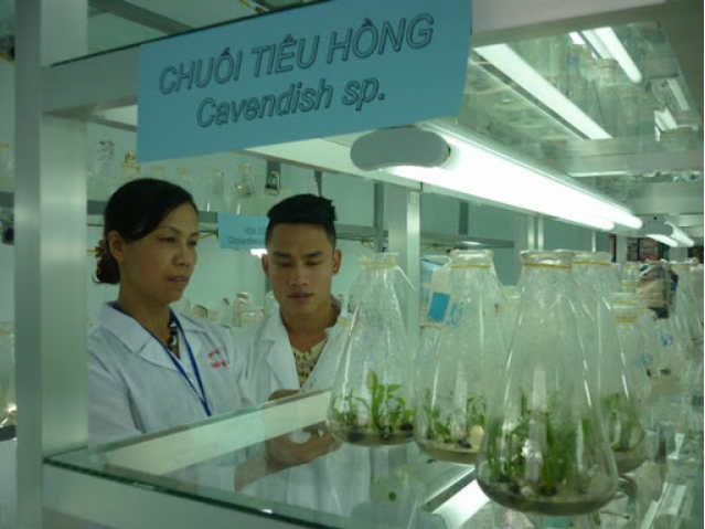 Phấn đấu đưa Việt Nam trở thành quốc gia có nền công nghệ sinh học phát triển trên thế giới, trung tâm sản xuất và dịch vụ thông minh về công nghệ sinh học, thuộc nhóm dẫn đầu khu vực châu Á.