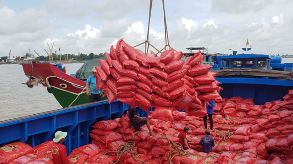 Xuất khẩu gạo của Việt Nam giảm mạnh, nguyên nhân do đâu?