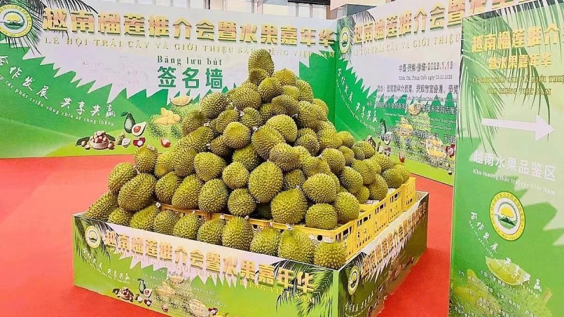 Một trái sầu riêng bày bán ở siêu thị tại Trung Quốc có giá tới 1 triệu đồng. (Ảnh minh họa).