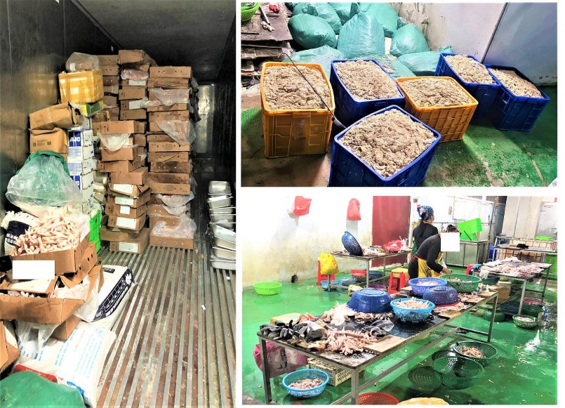 Tân Yên (Bắc Giang): Phát hiện hơn 9 tấn thực phẩm động vật không rõ nguồn gốc