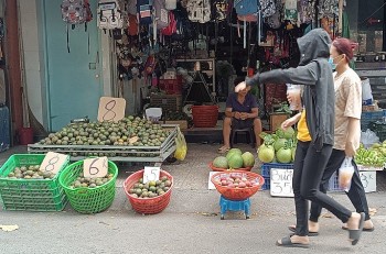 Trái cây nội, trái cây ngoại “rủ nhau” dội chợ