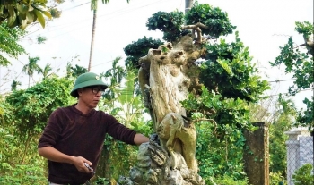 Lạc vào thế giới cây cảnh tiền tỷ của nghệ nhân xứ Quảng nơi “ngọa hổ tàng long”