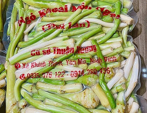 Sản phẩm ngó khoai của gia đình anh Thuận được sơ chế và đóng gói hút chân không trước khi cung ứng ra thị trường.