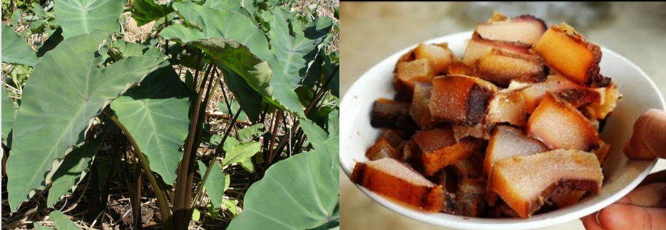 Đặc sản canh bon da trâu, nhìn 
