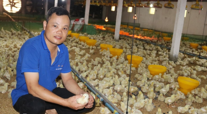 Nhờ chăn nuôi gà trang trại, năm 2022, gia đình anh Nghiêm Văn Tân thu lãi 2 tỷ đồng