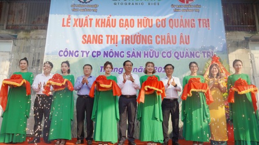 Quảng Trị xuất khẩu lô gạo hữu cơ đầu tiên sang thị trường Châu Âu