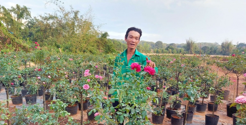 Anh Võ Đình Phùng với vườn trồng cây hoa hồng của gia đình tại ấp 4, xã Đồng Tâm, huyện Đồng Phú, tỉnh Bình Phước