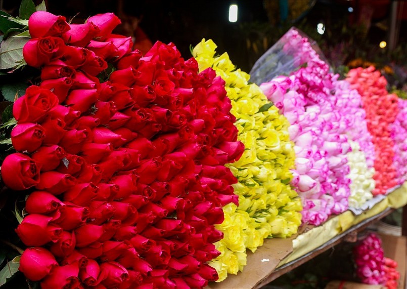Những loại hoa hồng đỏ hút khách dịp Valentine năm nay