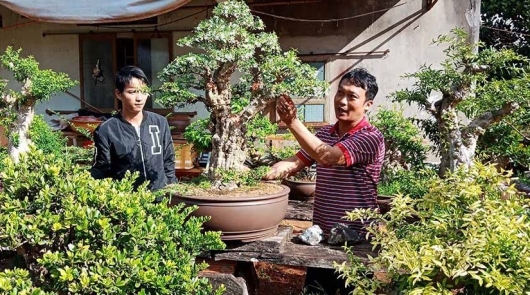 Mát tay biến cây dại thành siêu phẩm bonsai và bí quyết thu lãi nửa tỷ mỗi năm