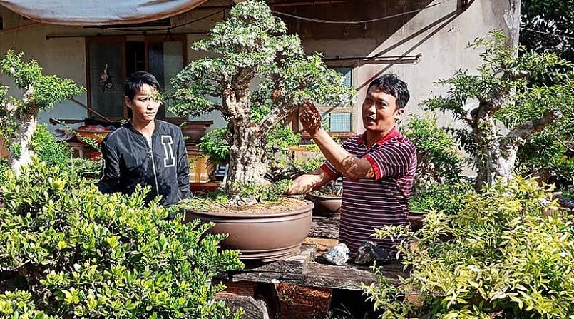 Nguyễn Tấn Phúc (phải) mỗi năm thu nhập từ 400 đên 500 triệu đồng từ cây cảnh và hoa kiểng.